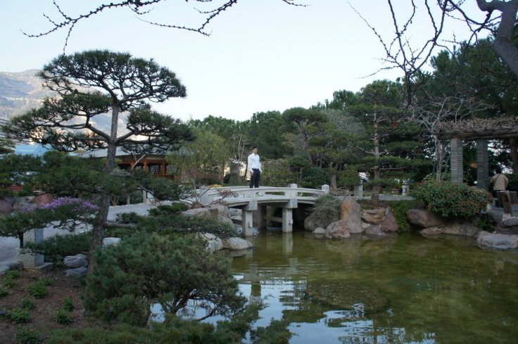 japanese-garden-2-monaco